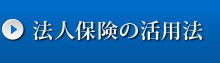 ˡݸγˡ